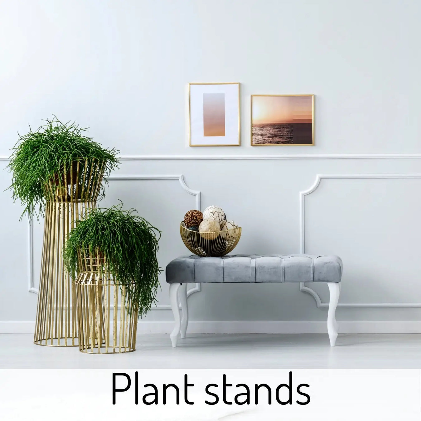 Plant Stands