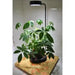 Bioscape 7 w LED Grow Light with stand