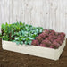 2 X Greenfingers Garden Bed 2PCS (210 x 90 x 30 cm) - Cream