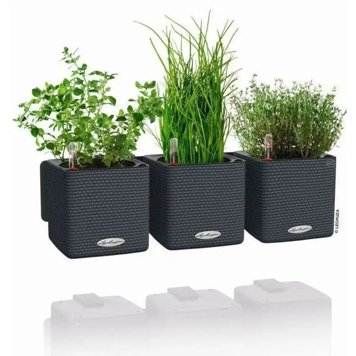 PURO CUBE Triple Wall Planter Kit