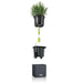 PURO CUBE Triple Wall Planter Kit