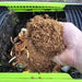 Bokashi Composting Additive 2L