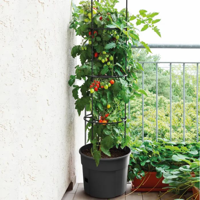 Maze Tomato Grower Planter 400