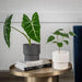 White 'The essential' planter