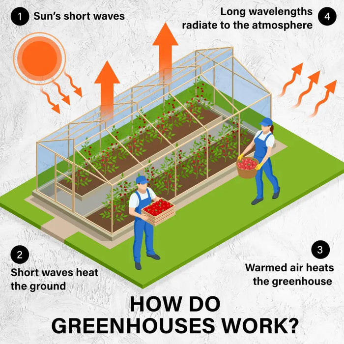 Home Ready Apex 350m Garden Greenhouse Shed PE Cover Only - Home & Garden > Green Houses