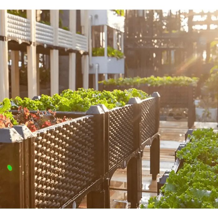 160cm Raised Deep Planter Box