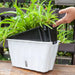 35cm White Rectangular Ourdoor Planter