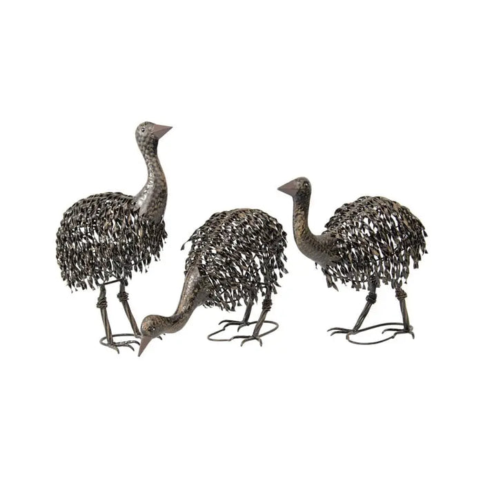 3 Piece Assorted Emu Chicks