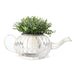 Antique White Teapot planter - Plants & Pots