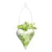 Green Heart Hanging planter