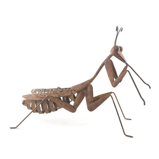 Lucky Praying Mantis 54x22x40cm