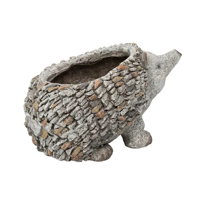 Stony Echidna Planter wHole & Plug 40x25x24cm